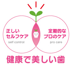 サンプルイメージ